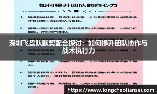 深圳飞盘队默契配合探讨：如何提升团队协作与战术执行力